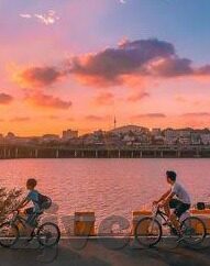 成人在线色情视频-成人在线色情视频，社会现象与影响分析