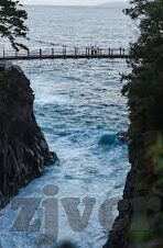 欧美av日韩av国产av-AV文化的多元视角，欧美、日韩与国产AV的独特魅力