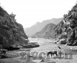 糖心app免费版安卓-探索糖心app免费版安卓，一个深度解读与真实体验分享
