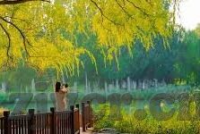 五月婷婷开心中文字幕-春日里的温馨篇章，五月婷婷的开心中文字幕之旅